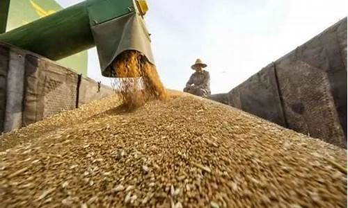 中国粮油期货(中国粮油期货最新价格走势)_https://www.hangfeite.com_上交所_第1张