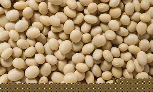 期货 豆(期货豆一和豆二有啥区别)_https://www.hangfeite.com_科创板_第1张