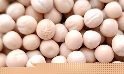 加拿大豌豆期货行情走势(进口加拿大白豌豆价格最新行情)_https://www.hangfeite.com_北交所_第1张