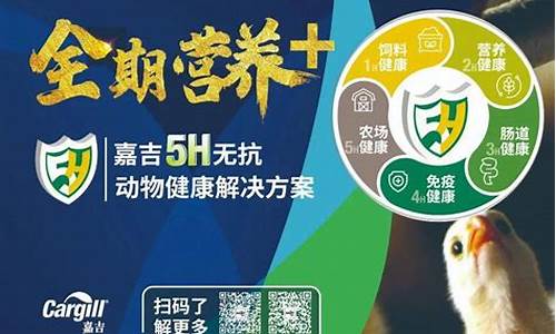 鸡苗期货行情分析(鸡苗价格最新行情走势)_https://www.hangfeite.com_科创板_第1张