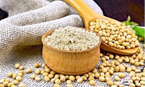 豆粕2401期货最新行情分析(豆粕2401期货最新行情分析及对策)_https://www.hangfeite.com_科创板_第1张