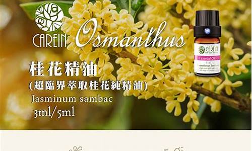 欧美桂花精油期货行情(桂花精油的功效与作用及使用方法)_https://www.hangfeite.com_北交所_第1张
