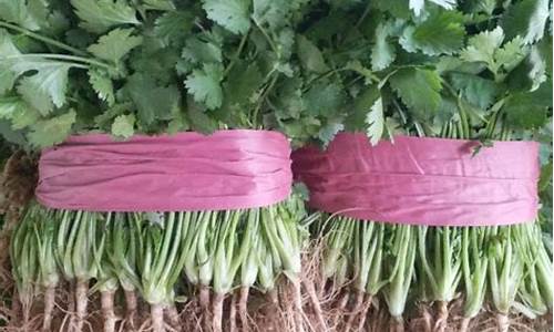 白银期货香菜价格行情查询(白银期货香菜价格行情查询官网)_https://www.hangfeite.com_科创板_第1张