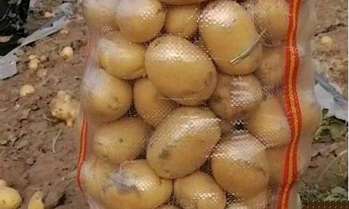 土豆期货最后行情(土豆最新行情预测)_https://www.hangfeite.com_科创板_第1张
