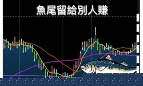 期货鱼头行情和鱼尾行情(期货鱼头行情和鱼尾行情一样吗)_https://www.hangfeite.com_创业板_第1张