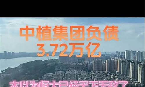 中国进入泡沫时代了吗(中国进入泡沫时代了吗2023)_https://www.hangfeite.com_深交所_第1张