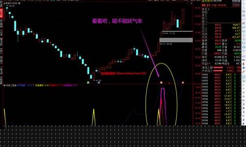 妖股起涨指标公式源码股旁网(妖股暴涨前4个征兆)_https://www.hangfeite.com_创业板_第1张