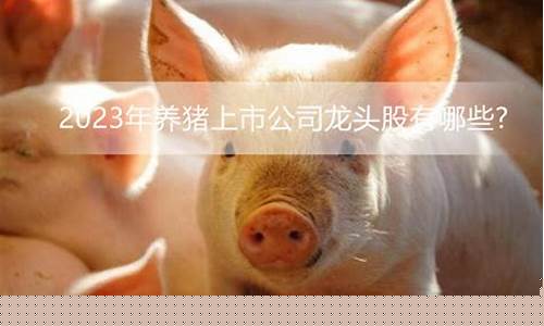 养猪的上市公司龙头股票有哪些(养猪为主业的上市公司)_https://www.hangfeite.com_深交所_第1张