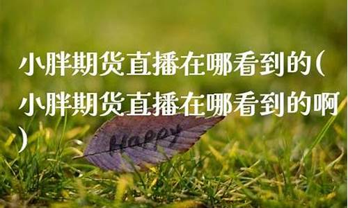 小胖期货直播在哪看啊(小胖在哪儿直播)_https://www.hangfeite.com_北交所_第1张