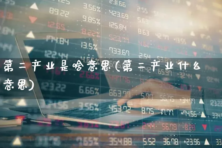 第二产业是啥意思(第二产业什么意思)_https://www.hangfeite.com_科创板_第1张