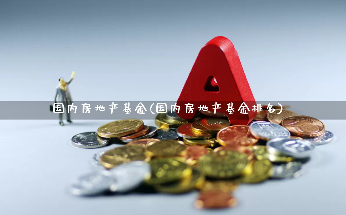 国内房地产基金(国内房地产基金排名)_https://www.hangfeite.com_上交所_第1张