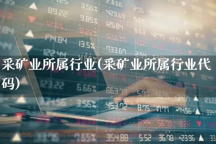 采矿业所属行业(采矿业所属行业代码)_https://www.hangfeite.com_创业板_第1张