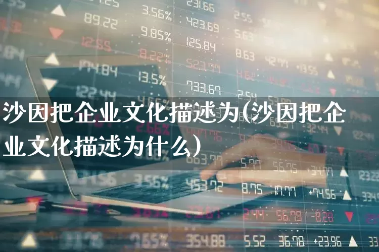 沙因把企业文化描述为(沙因把企业文化描述为什么)_https://www.hangfeite.com_上交所_第1张
