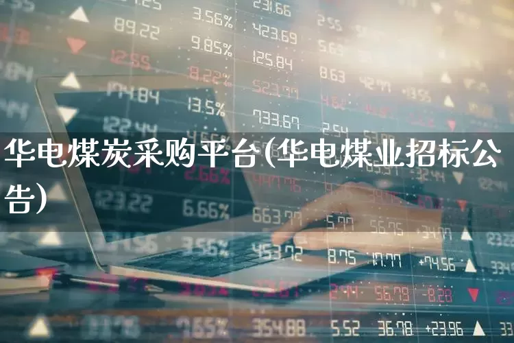 华电煤炭采购平台(华电煤业招标公告)_https://www.hangfeite.com_上交所_第1张