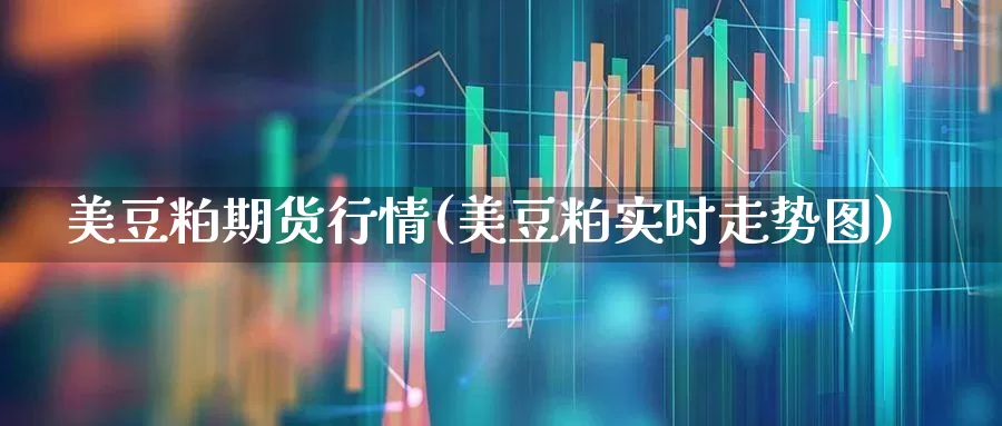 美豆粕期货行情(美豆粕实时走势图)_https://www.hangfeite.com_深交所_第1张