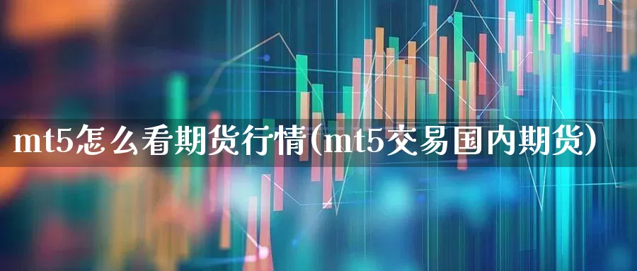 mt5怎么看期货行情(mt5交易国内期货)_https://www.hangfeite.com_深交所_第1张