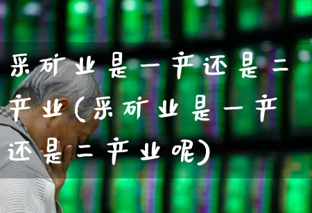 采矿业是一产还是二产业(采矿业是一产还是二产业呢)_https://www.hangfeite.com_创业板_第1张