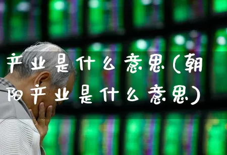 产业是什么意思(朝阳产业是什么意思)_https://www.hangfeite.com_科创板_第1张