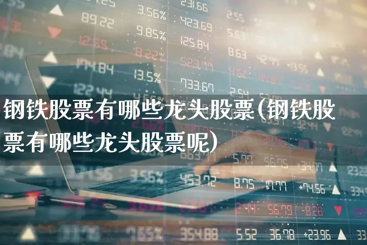钢铁股票有哪些龙头股票(钢铁股票有哪些龙头股票呢)_https://www.hangfeite.com_创业板_第1张