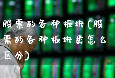股票的各种板块(股票的各种板块类怎么区分)_https://www.hangfeite.com_科创板_第1张