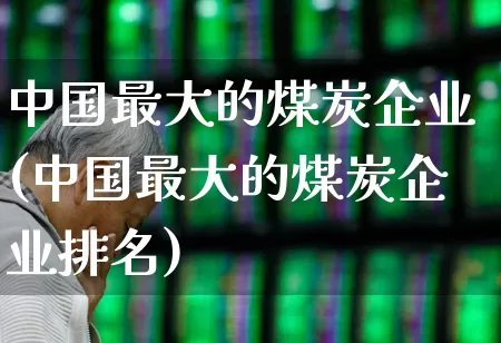 中国最大的煤炭企业(中国最大的煤炭企业排名)_https://www.hangfeite.com_深交所_第1张