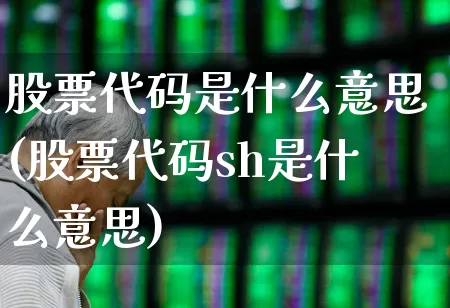 股票代码是什么意思(股票代码sh是什么意思)_https://www.hangfeite.com_创业板_第1张