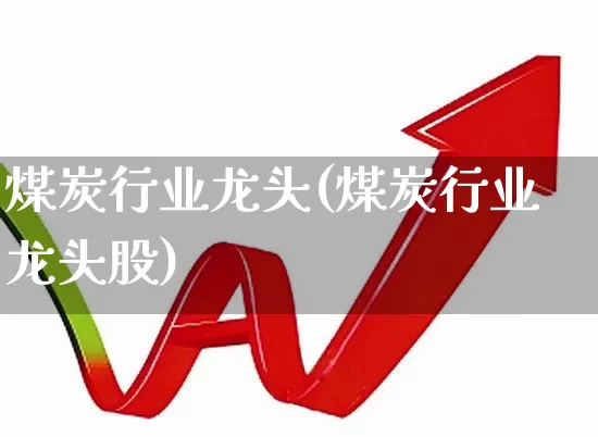 煤炭行业龙头(煤炭行业龙头股)_https://www.hangfeite.com_上交所_第1张