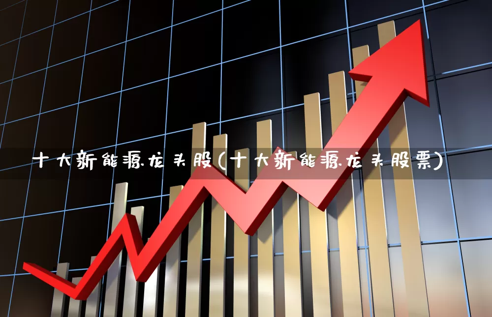 十大新能源龙头股(十大新能源龙头股票)_https://www.hangfeite.com_上交所_第1张