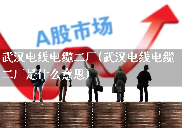 武汉电线电缆二厂(武汉电线电缆二厂是什么意思)_https://www.hangfeite.com_创业板_第1张