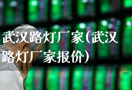 武汉路灯厂家(武汉路灯厂家报价)_https://www.hangfeite.com_上交所_第1张