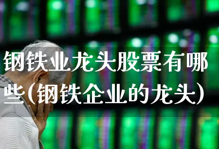 钢铁业龙头股票有哪些(钢铁企业的龙头)_https://www.hangfeite.com_创业板_第1张