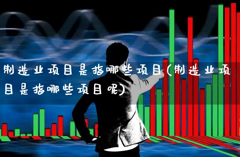 制造业项目是指哪些项目(制造业项目是指哪些项目呢)_https://www.hangfeite.com_科创板_第1张