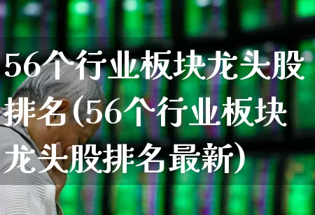 56个行业板块龙头股排名(56个行业板块龙头股排名最新)_https://www.hangfeite.com_深交所_第1张