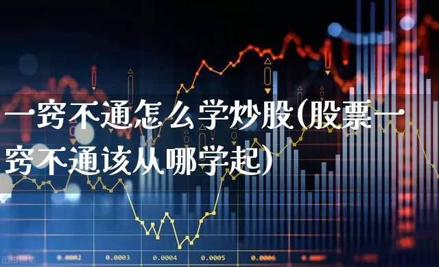 一窍不通怎么学炒股(股票一窍不通该从哪学起)_https://www.hangfeite.com_上交所_第1张