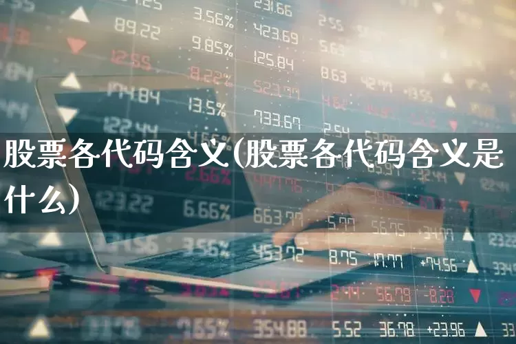 股票各代码含义(股票各代码含义是什么)_https://www.hangfeite.com_深交所_第1张