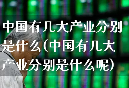 中国有几大产业分别是什么(中国有几大产业分别是什么呢)_https://www.hangfeite.com_上交所_第1张