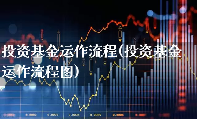投资基金运作流程(投资基金运作流程图)_https://www.hangfeite.com_上交所_第1张