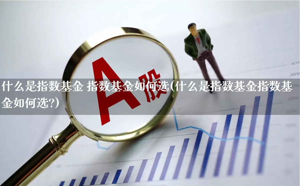 什么是指数基金 指数基金如何选(什么是指数基金指数基金如何选?)_https://www.hangfeite.com_北交所_第1张