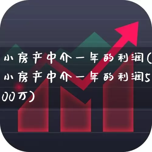 小房产中介一年的利润(小房产中介一年的利润500万)_https://www.hangfeite.com_上交所_第1张