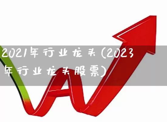 2021年行业龙头(2023年行业龙头股票)_https://www.hangfeite.com_科创板_第1张