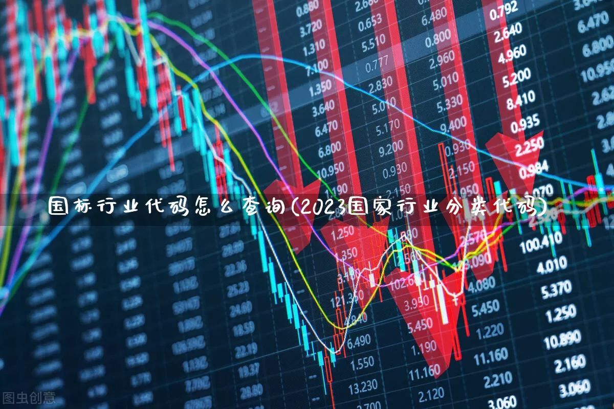 国标行业代码怎么查询(2023国家行业分类代码)_https://www.hangfeite.com_上交所_第1张