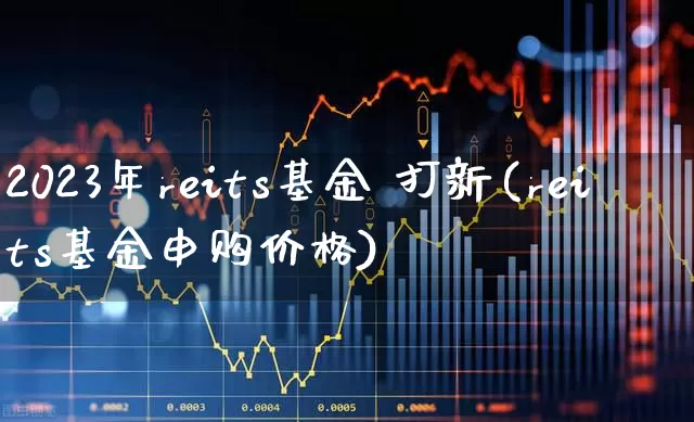 2023年reits基金 打新(reits基金申购价格)_https://www.hangfeite.com_深交所_第1张