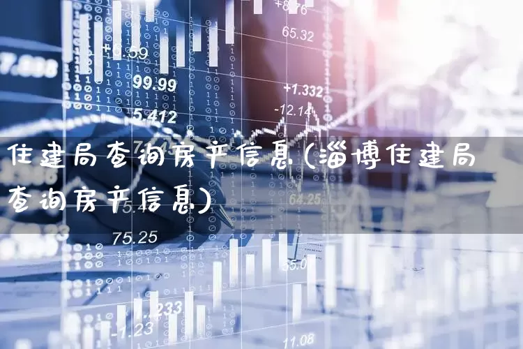 住建局查询房产信息(淄博住建局查询房产信息)_https://www.hangfeite.com_科创板_第1张