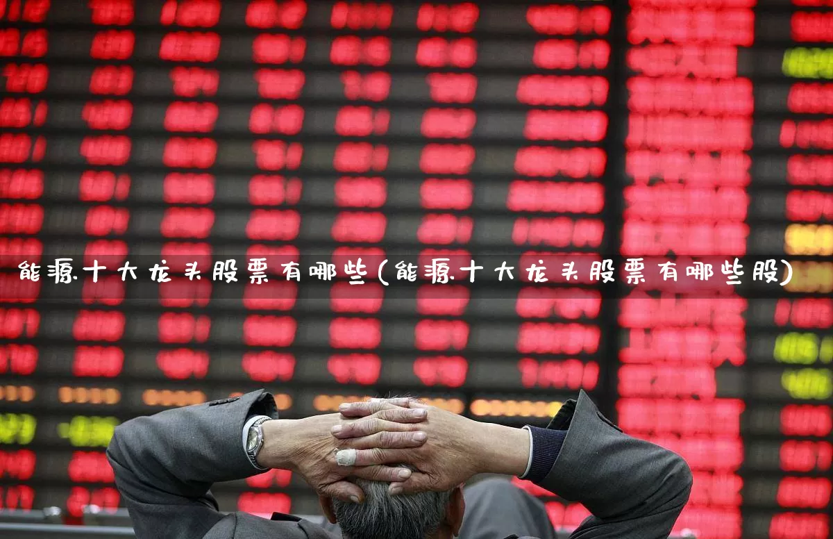 能源十大龙头股票有哪些(能源十大龙头股票有哪些股)_https://www.hangfeite.com_北交所_第1张