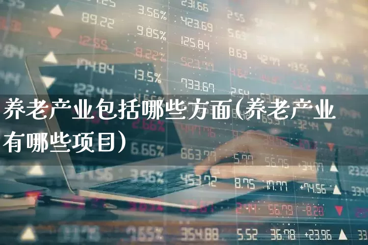 养老产业包括哪些方面(养老产业有哪些项目)_https://www.hangfeite.com_上交所_第1张
