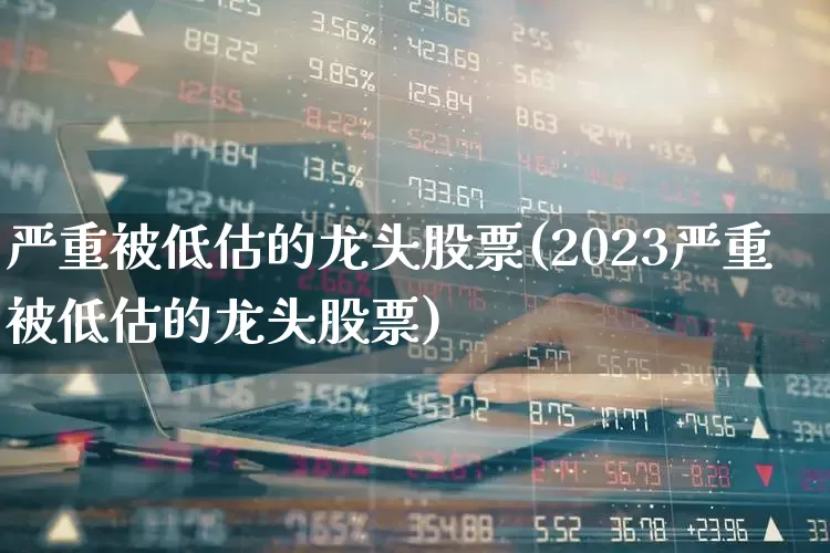 严重被低估的龙头股票(2023严重被低估的龙头股票)_https://www.hangfeite.com_北交所_第1张
