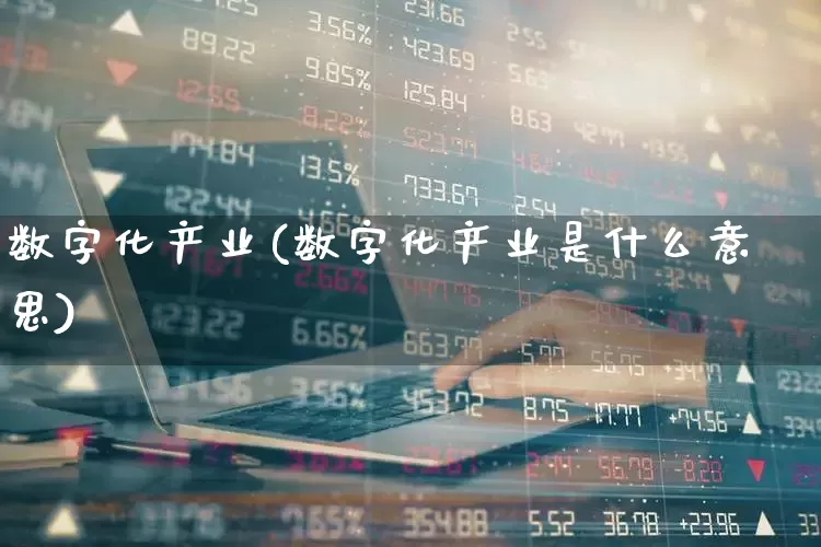 数字化产业(数字化产业是什么意思)_https://www.hangfeite.com_科创板_第1张