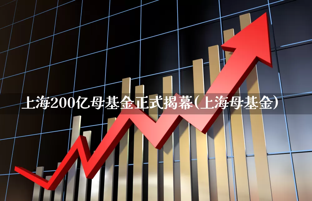 上海200亿母基金正式揭幕(上海母基金)_https://www.hangfeite.com_科创板_第1张