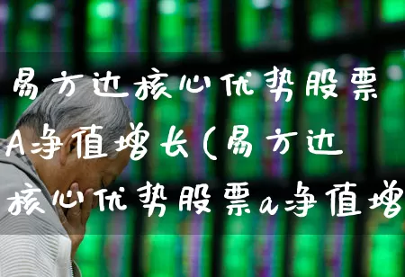 易方达核心优势股票A净值增长(易方达核心优势股票a净值增长率)_https://www.hangfeite.com_科创板_第1张