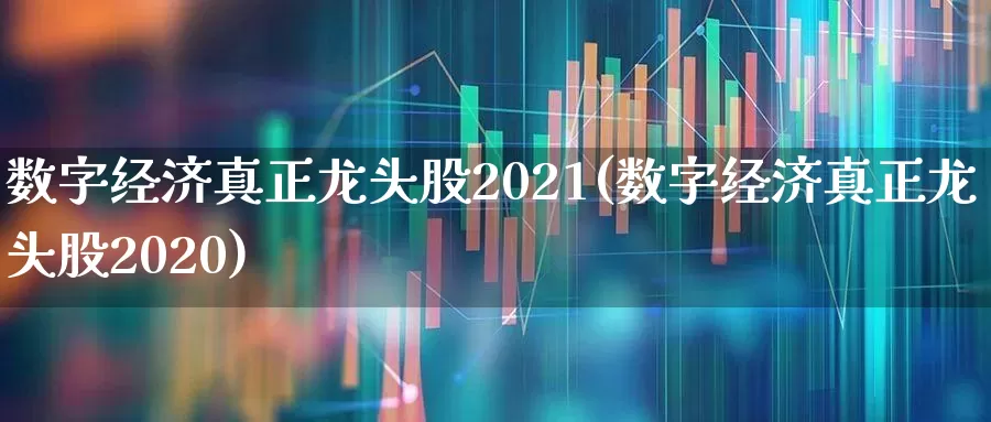 数字经济真正龙头股2021(数字经济真正龙头股2020)_https://www.hangfeite.com_深交所_第1张